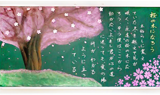 小语种校区，“樱花の故事”，焕活黑板报，激发新生机