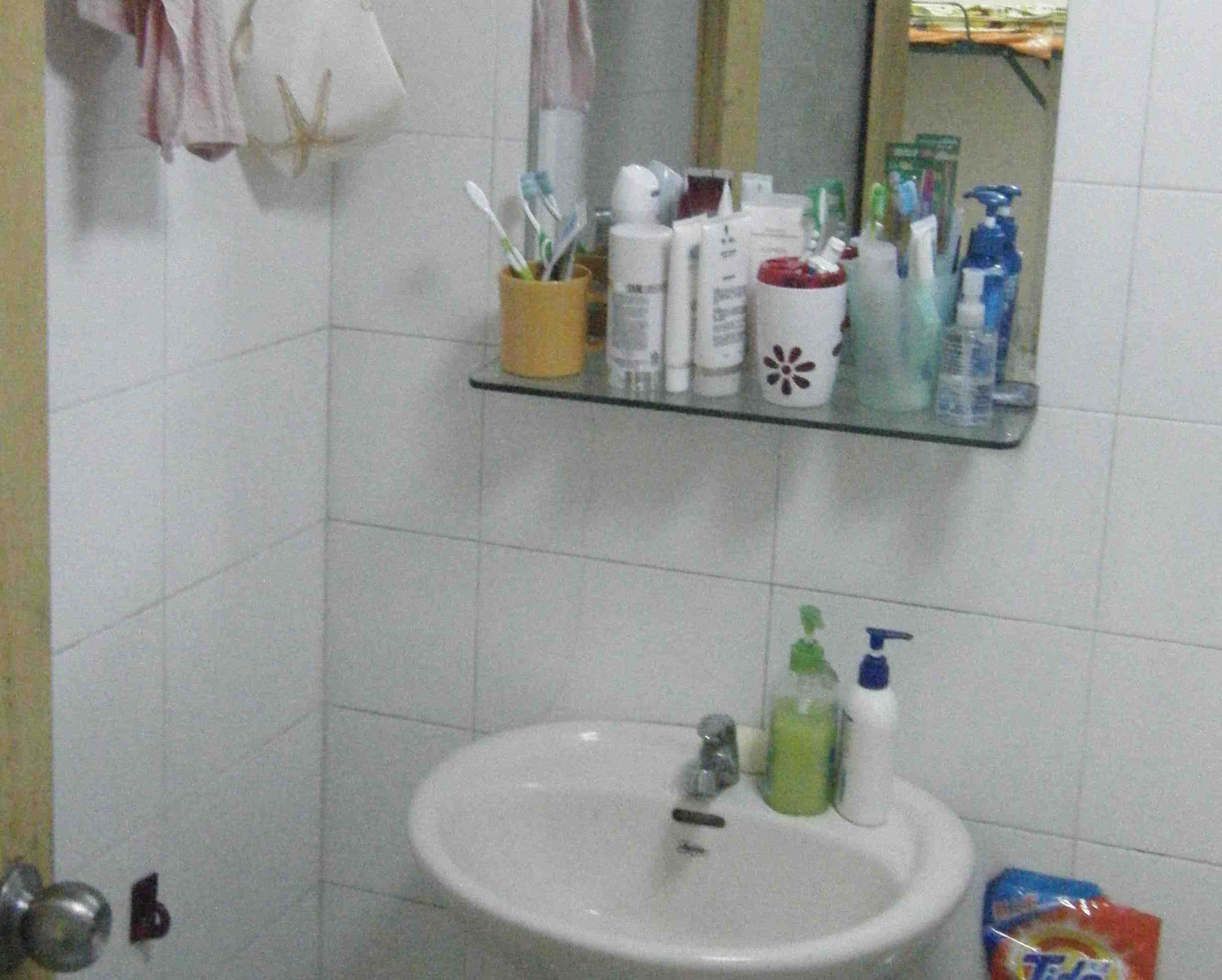 IBS---深圳英语学校