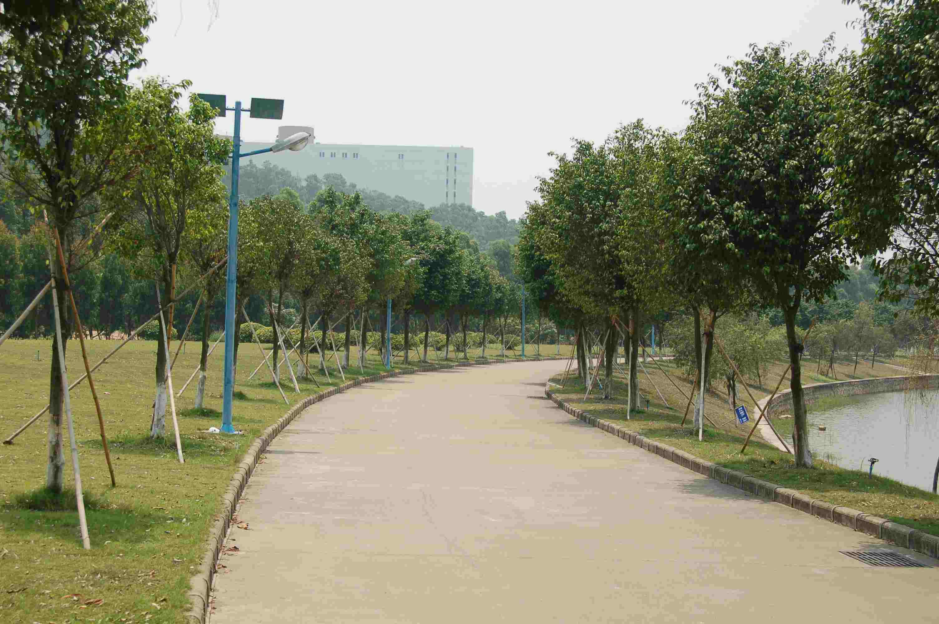 成人英语学校